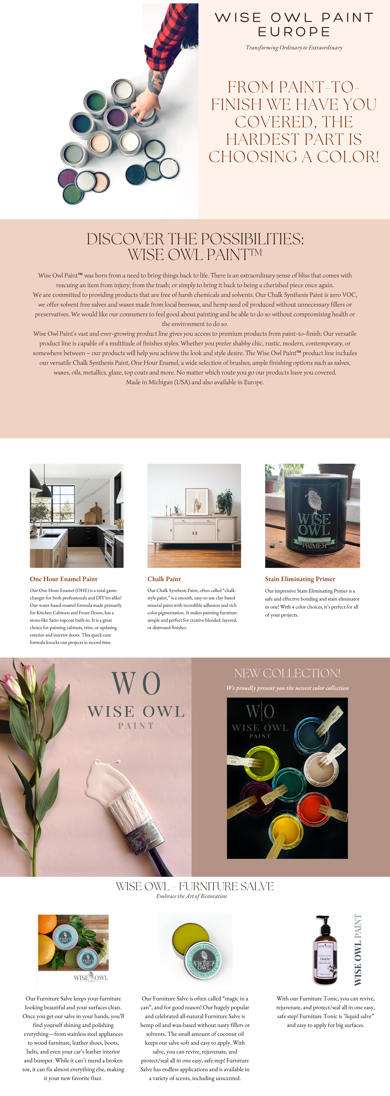 images/homepage/wise owlll.png